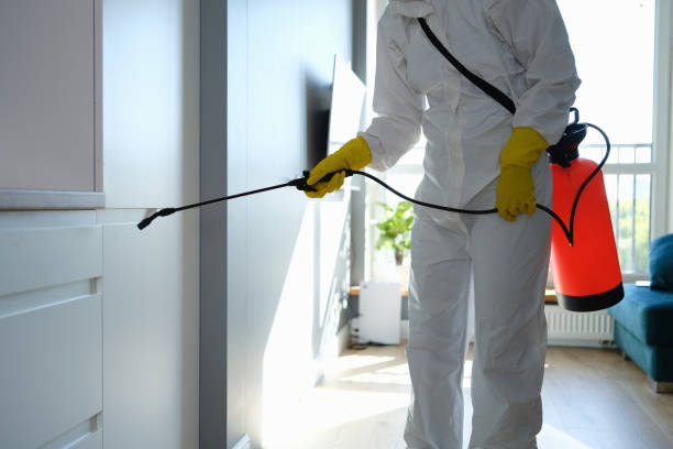 Best Fast Mold Removal  in Charlotte, MI