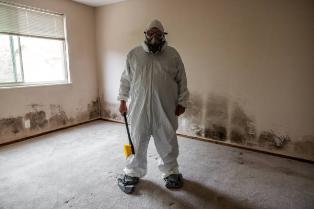 Best Mold Damage Repair  in Charlotte, MI